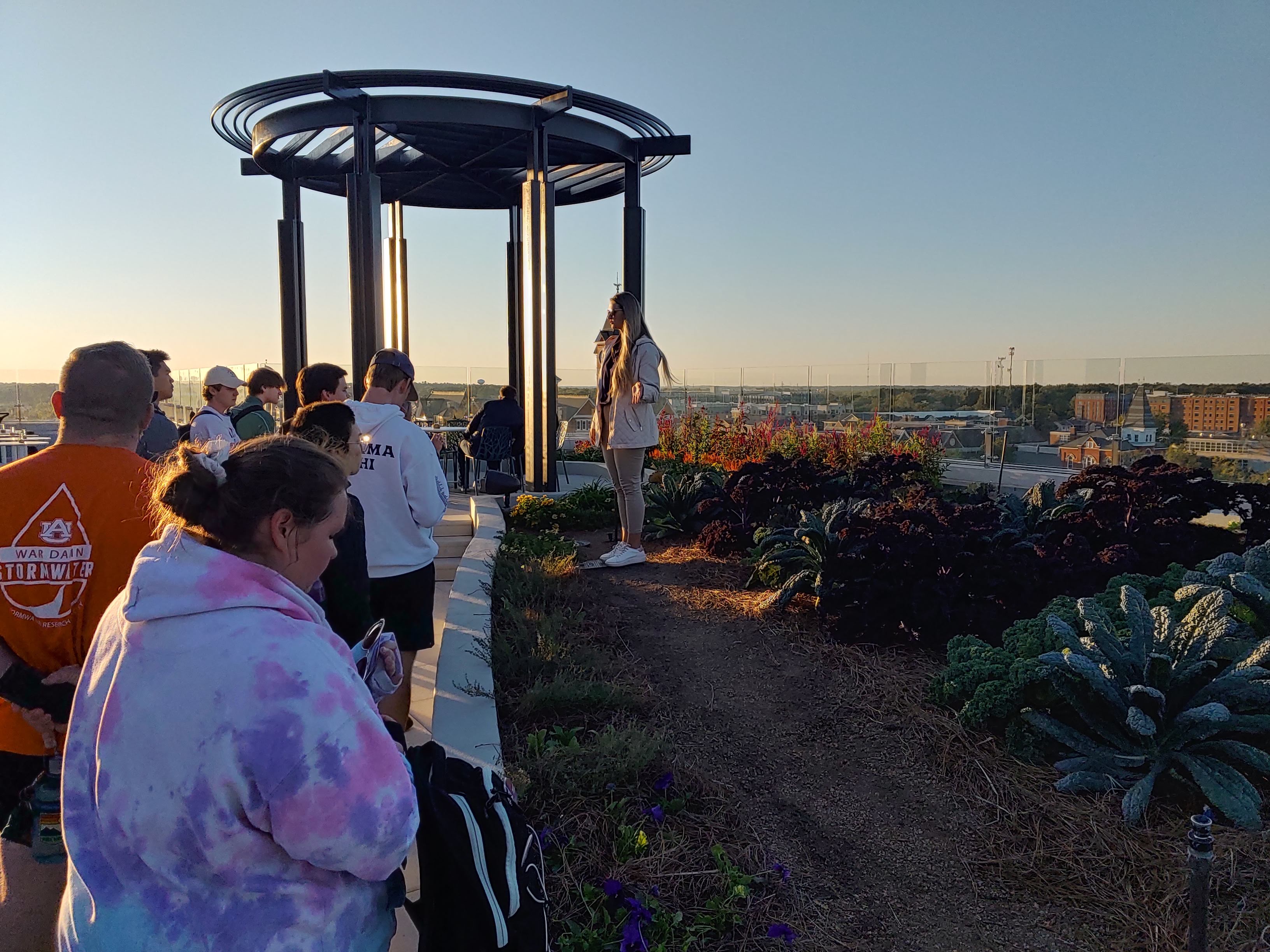 Sustainability 5000 Rooftop Garden
